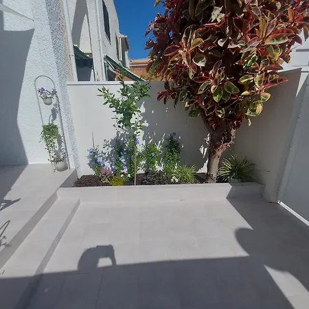 Aparthaus Olive Torrevieja